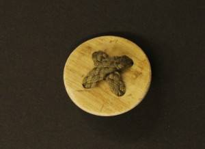 article 15180-54-orig