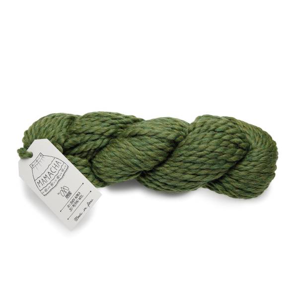 article AMA-006.8007