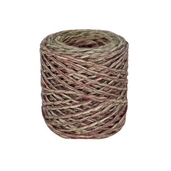 article AVOCADO-31217