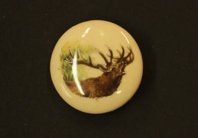 article 19461-48-org.