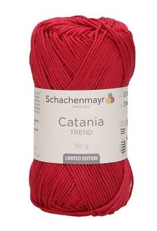 article 9801.210.00300