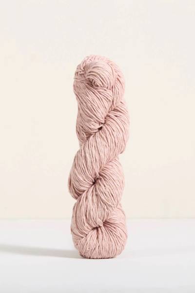 article Etesia-Shrimp