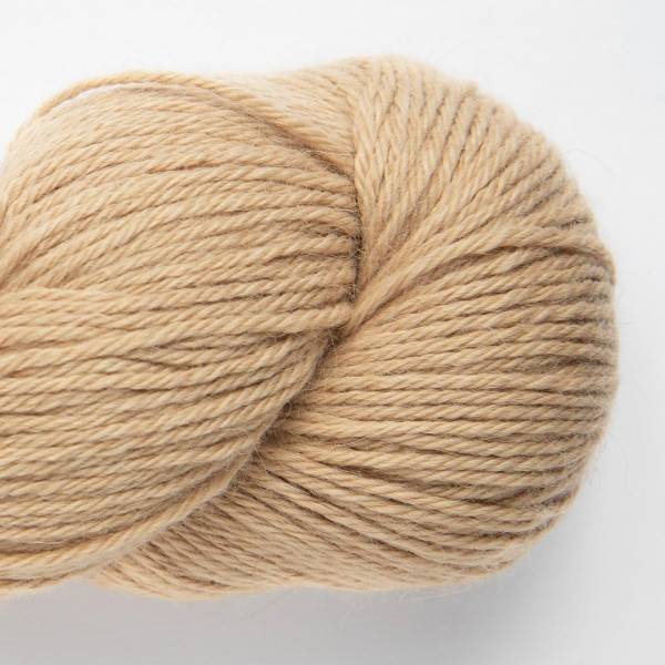 article AMA-004.9010