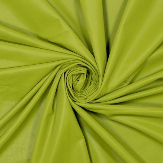 article FM794323-732